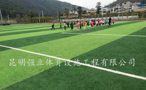 硅PU球場(chǎng)是健康運(yùn)動(dòng)而設(shè)計(jì)的專(zhuān)業(yè)結(jié)構(gòu)